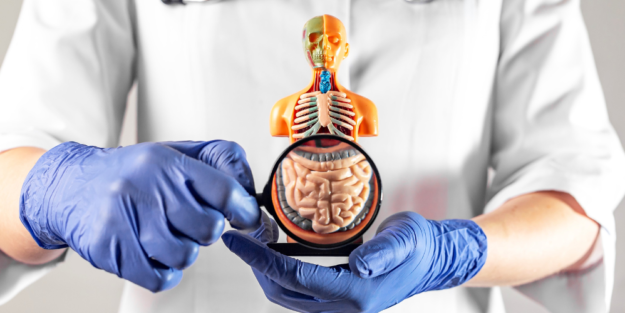 Gastrointestinal Surgery Gastrointestinal Surgery