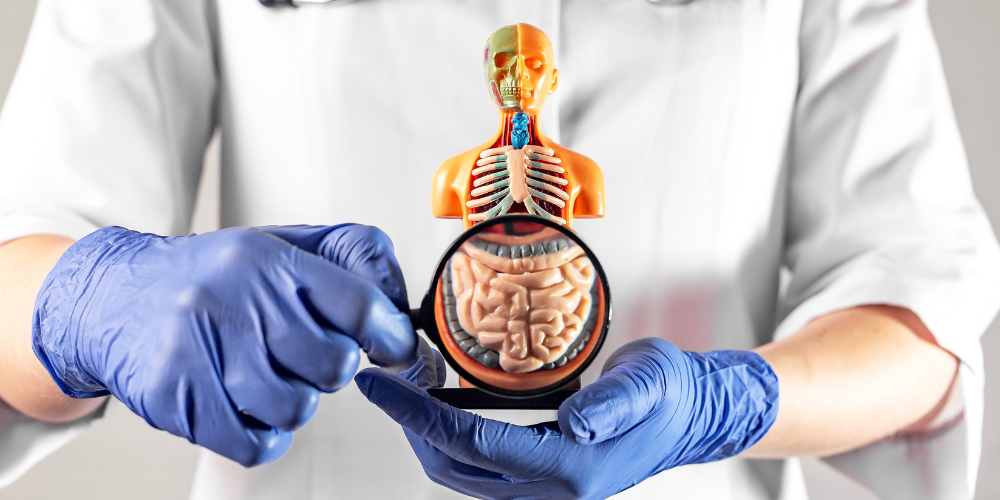 Gastrointestinal Surgery Gastrointestinal Surgery