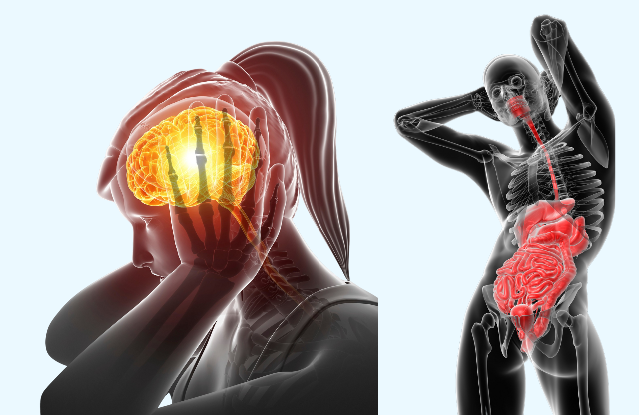 Signs, Symptoms, and Treatment of (6) Stress Affects Digestion