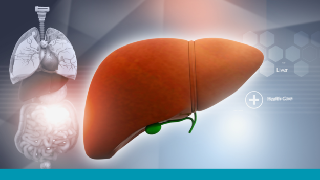 Grade 1 Fatty Liver Grade 1 Fatty Liver