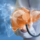 liver specialist in Gurgaon