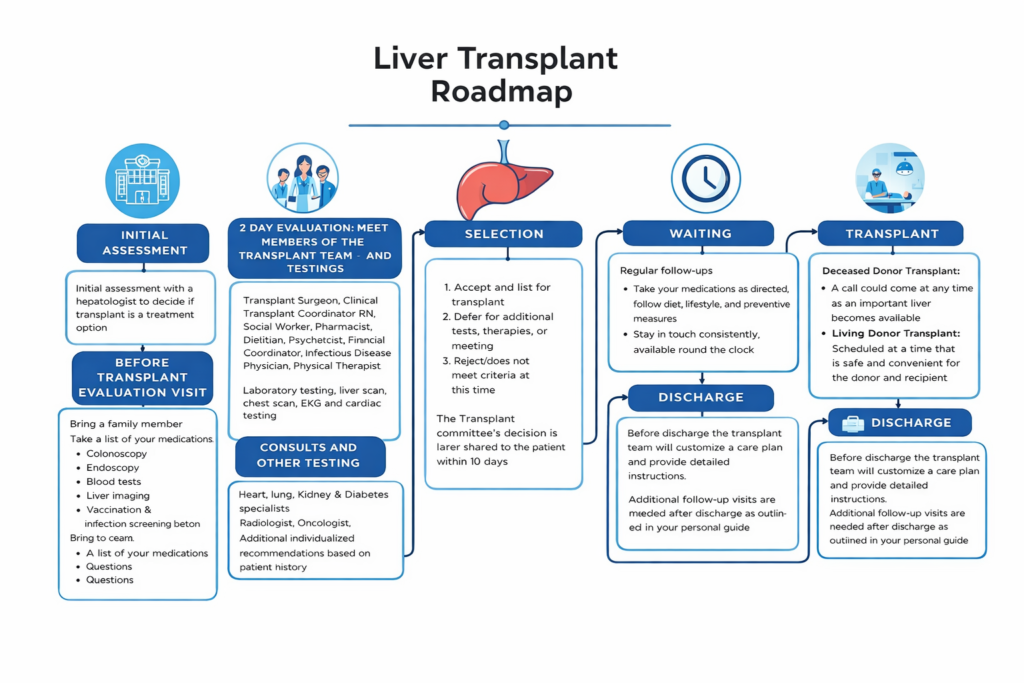 Liver Transplant Roadmap infographic  