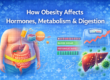 Obesity Affects Hormones, Metabolism & Digestion