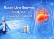 Raised Liver Enzymes (SGOTSGPT) Causes & Treatment